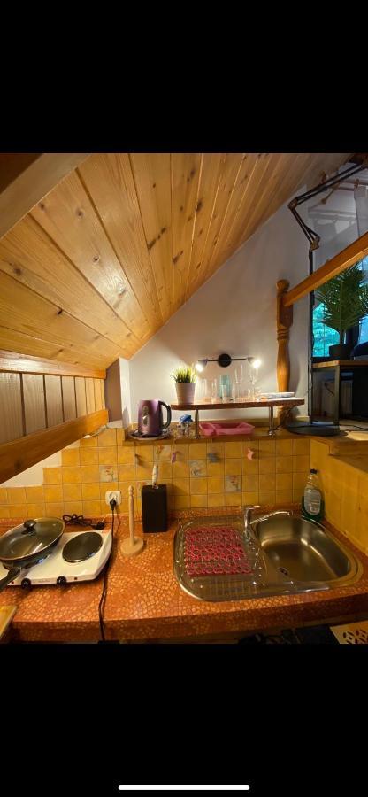 Goralska Osada Karpacz - Apartametny エクステリア 写真